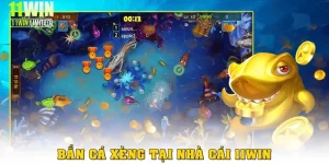 ban ca xeng thumb